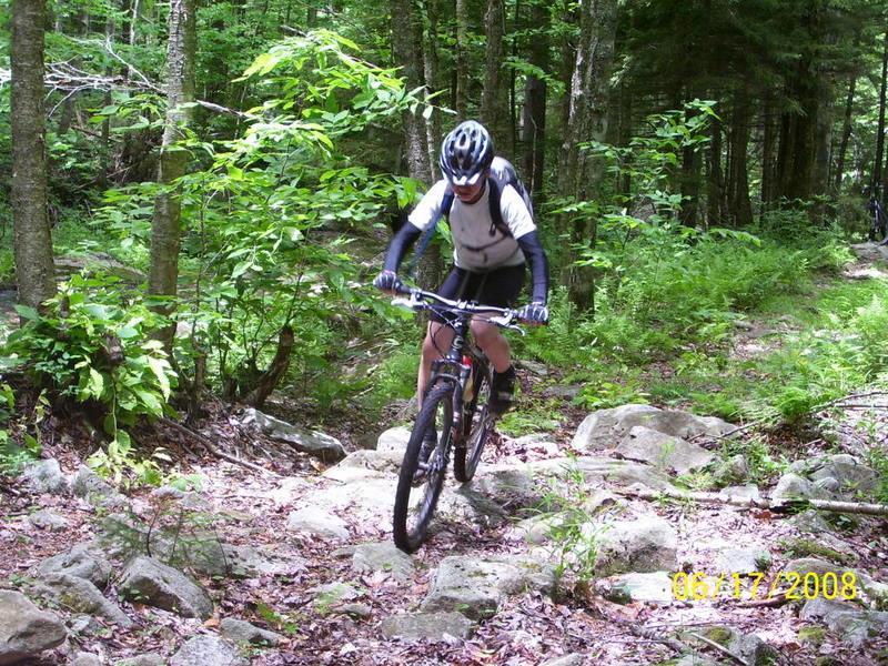 A mountain biker navigates a rocky trail in a dense forest, surrounded by lush green foliage. The cyclist is wearing a helmet and sunglasses, focused on the uneven terrain ahead. Red Run Trail mountain bike trail.
