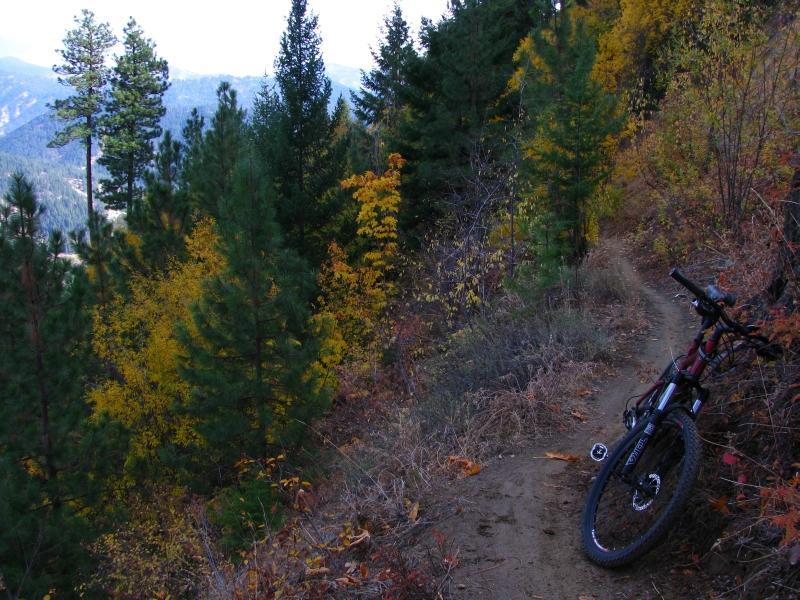 A mountain bike resting on a narrow dirt trail surrounded by lush green pine trees and vibrant autumn foliage, with rolling hills visible in the background under a clear sky. Freund Creek mountain bike trail.