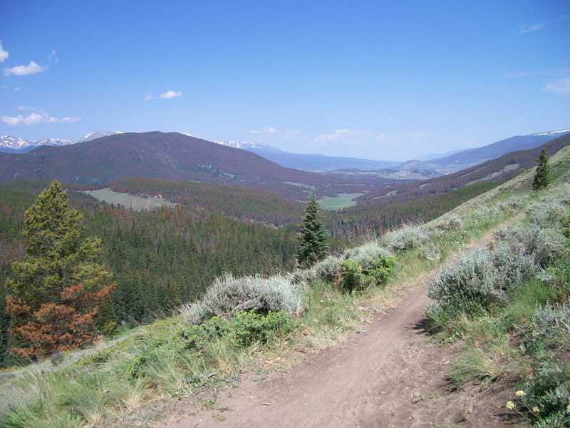 A scenic view of a mountainside with a dirt trail winding through lush green grass and shrubs. The landscape features rolling hills covered in pine trees, with some areas showing signs of autumn color. In the background, the horizon is marked by distant mountains under a bright blue sky with a few scattered white clouds. Westridge Loop mountain bike trail.