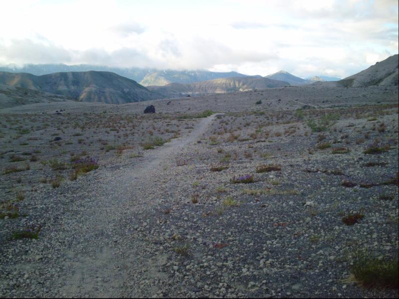 A rocky pathway meanders through a barren landscape, surrounded by sparse vegetation and distant mountain ranges under a partly cloudy sky. Smith Creek Epic mountain bike trail.