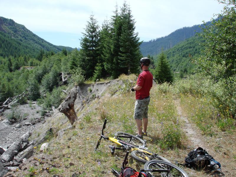 A person in a red shirt and helmet stands on a dirt path overlooking a forested valley, with mountains in the background. A yellow bicycle lies on the ground nearby, surrounded by wildflowers and greenery. Smith Creek Epic mountain bike trail.