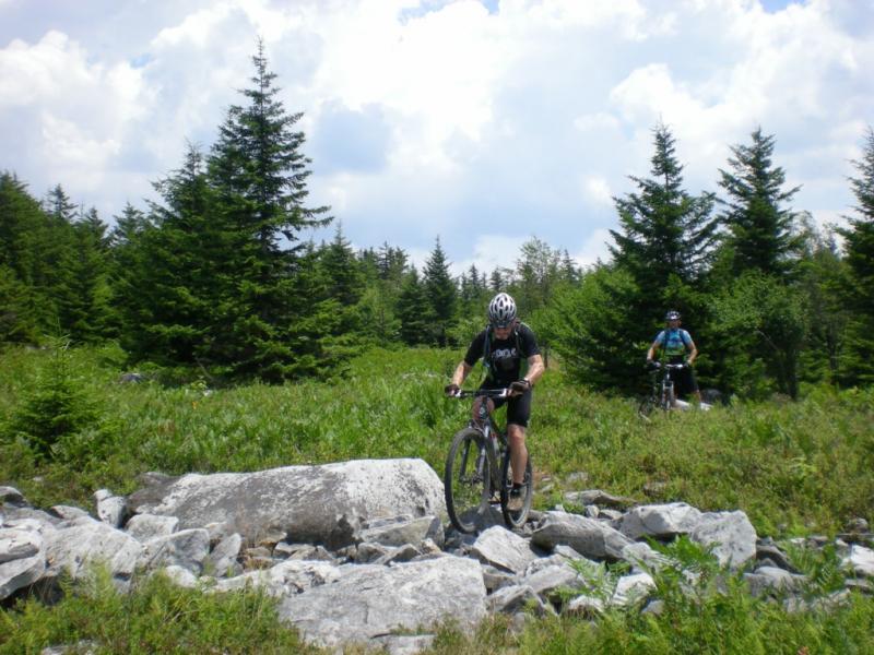 A mountain biker navigating over rocks in a grassy, wooded area, with lush green trees and a blue sky in the background. Another biker can be seen in the distance, also riding along the trail. Dolly Sods North (while Available) mountain bike trail.
