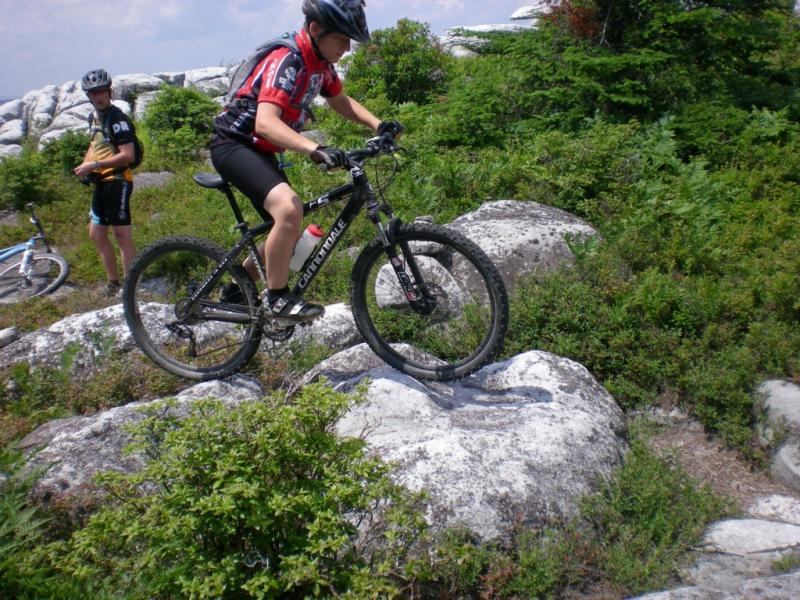A person in a red and black cycling jersey rides a mountain bike over rocky terrain, while another cyclist in the background observes. The scene is set outdoors with green vegetation and bright blue skies. Dolly Sods North (while Available) mountain bike trail.