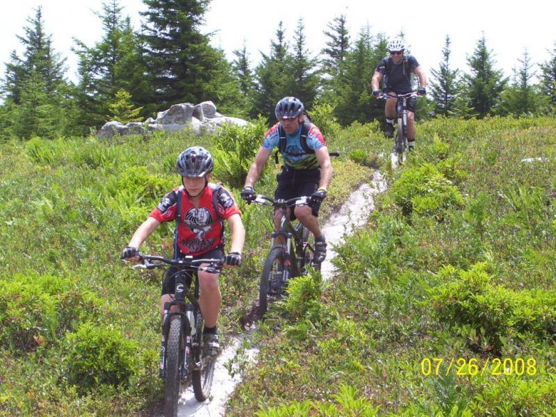 Three mountain bikers riding along a narrow, grassy trail in a forested area. The scene features a mix of greenery and rocks, with the bikers wearing helmets and colorful jerseys. The trail winds through the landscape, and the sun is shining brightly. Dolly Sods North (while Available) mountain bike trail.
