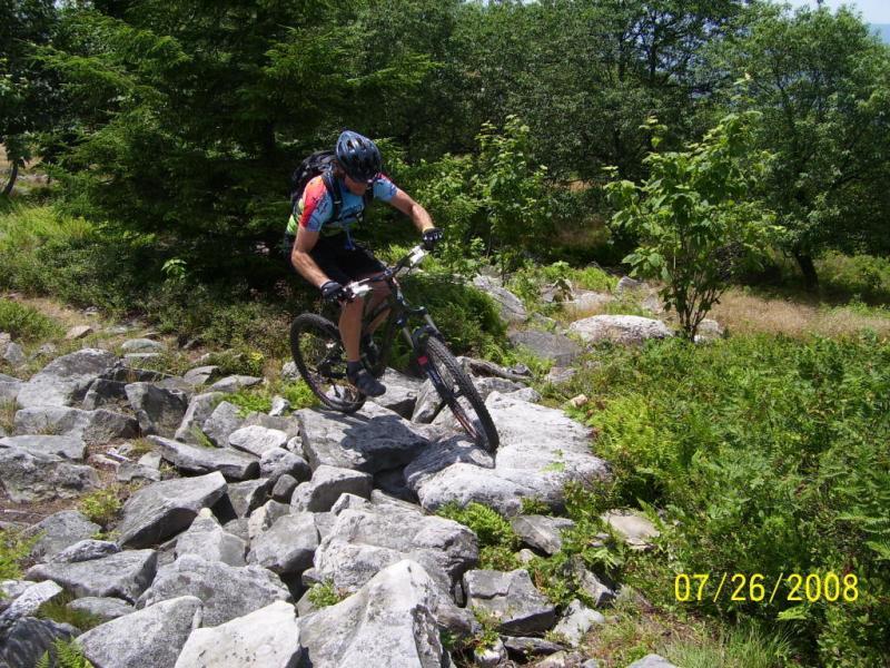 Mountain biker navigating a rocky trail surrounded by greenery, wearing a helmet and a colorful jersey, showcasing an adventurous outdoor activity. Dolly Sods North (while Available) mountain bike trail.