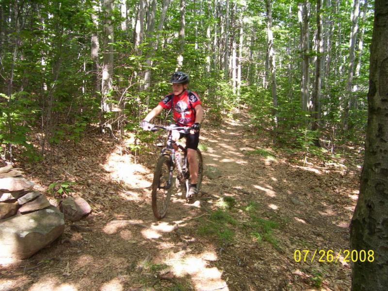 A mountain biker rides along a dirt trail through a lush green forest, surrounded by tall trees and sunlight filtering through the leaves. The rider is wearing a helmet and a red and black cycling jersey, navigating the winding path. Rocks are visible on the side of the trail. Dolly Sods North (while Available) mountain bike trail.