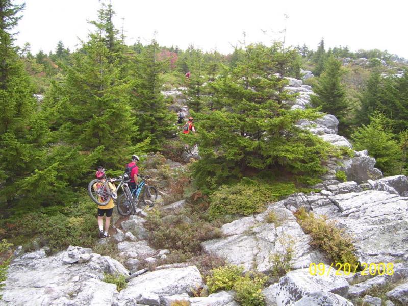 A group of mountain bikers navigating a rocky trail surrounded by dense coniferous trees. Two individuals are shown carrying their bikes over the rugged terrain, while others can be seen tackling the path in the background. The scene captures the essence of outdoor adventure and nature exploration. Dolly Sods North (while Available) mountain bike trail.