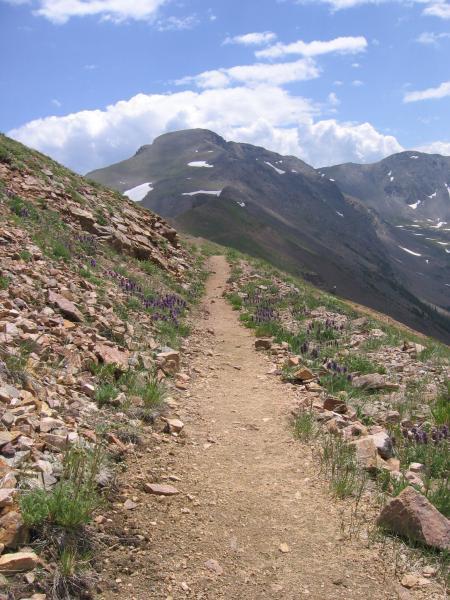 A winding dirt path leads through a rocky landscape, surrounded by blooming wildflowers, against a backdrop of majestic mountains under a partly cloudy sky. Snow can be seen on the peaks, suggesting a high elevation. Rogers Pass mountain bike trail.