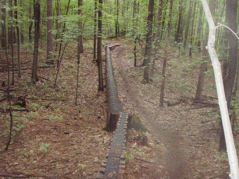 A winding, elevated wooden boardwalk meanders through a dense forest, surrounded by lush green trees and undergrowth. The path is flanked by earthy soil and fallen leaves, indicating a natural woodland setting. Dufferin County mountain bike trail.