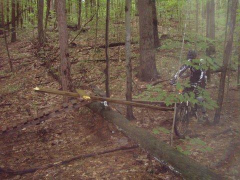 A mountain biker navigating a trail in a dense forest, approaching a fallen log partially obstructing the path, surrounded by greenery and tall trees. Dufferin County mountain bike trail.