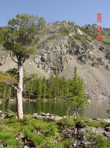A serene landscape featuring a tranquil lake surrounded by lush greenery, with a rocky mountain rising steeply in the background. A tall tree stands prominently in the foreground, adding to the natural beauty of the scene. The image captures a clear blue sky and the vibrant colors of summer. Louise Lake mountain bike trail.