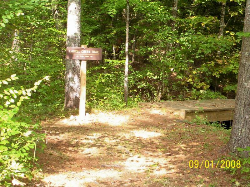 A wooden sign marking the entrance to the Laurel Creek Trail, surrounded by lush green trees and underbrush. A small wooden platform is visible nearby, suggesting a natural setting ideal for hiking. The image is taken on a sunny day, highlighting the vibrant foliage. Laurel Creek Trail At Rimel Wv mountain bike trail.