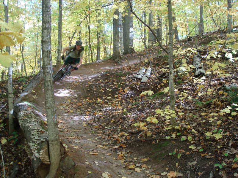 A person in a helmet riding a mountain bike along a winding trail through a forest with colorful autumn leaves. The scene features tall trees, fallen logs, and a sunlit path covered in leaves. Noquemanon Trails Network: South Marquette Trails mountain bike trail.