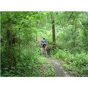 A cyclist riding along a narrow, winding trail surrounded by lush greenery and tall trees in a forested area. The Rock Trail mountain bike trail.