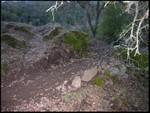 A rocky, uneven terrain covered with patches of moss, surrounded by tree branches. The lighting is dim, suggesting an early evening or late afternoon setting in a natural landscape. The Rock Trail mountain bike trail.