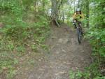 A mountain biker riding down a rocky, dirt path surrounded by greenery and trees. The cyclist is wearing a helmet and colorful gear, showcasing an adventurous outdoor activity. The Rock Trail mountain bike trail.