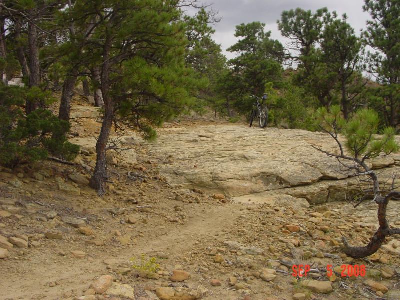 A rocky trail surrounded by pine trees, with a mountain bike leaning against a boulder. The scene is set in a natural outdoor environment, showcasing a rugged terrain ideal for biking or hiking. Phipps Park mountain bike trail.