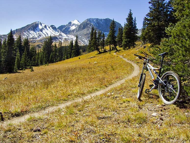 A mountain bike resting on a dirt trail near a meadow, surrounded by pine trees, with snow-capped mountains in the background under a clear blue sky. Thunder Pass mountain bike trail.