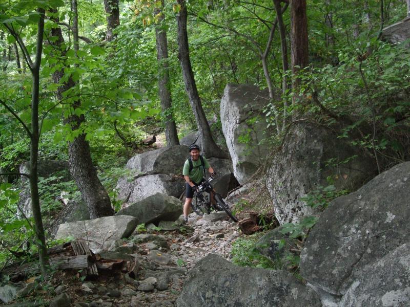 A mountain biker navigating a rocky trail surrounded by lush green trees and large boulders in a forested area. Laurel Mountain mountain bike trail.