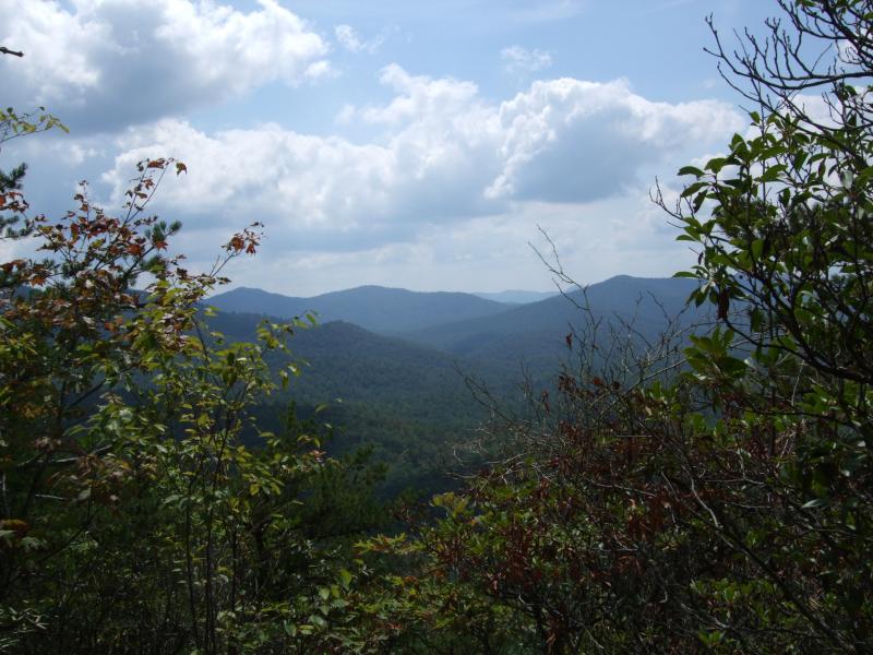 A panoramic view of rolling mountains covered in lush greenery, under a partly cloudy sky. The foreground features vibrant foliage, with various plants and trees framing the scene, while the distant hills fade into a blue haze. Laurel Mountain mountain bike trail.