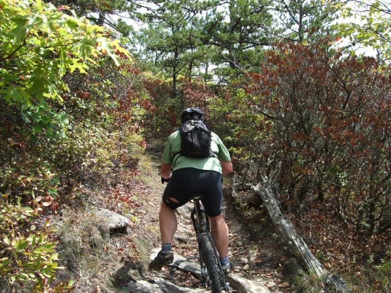 A person riding a mountain bike along a narrow, rocky trail surrounded by lush greenery and autumn foliage. The cyclist is wearing a helmet and a backpack, and is seen from the back as they navigate the terrain. Laurel Mountain mountain bike trail.