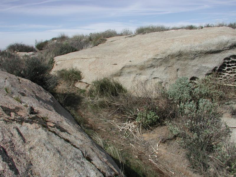A rocky landscape featuring large, flat boulders covered with sparse vegetation, including grasses and small shrubs, under a cloudy sky. Simpson Park mountain bike trail.