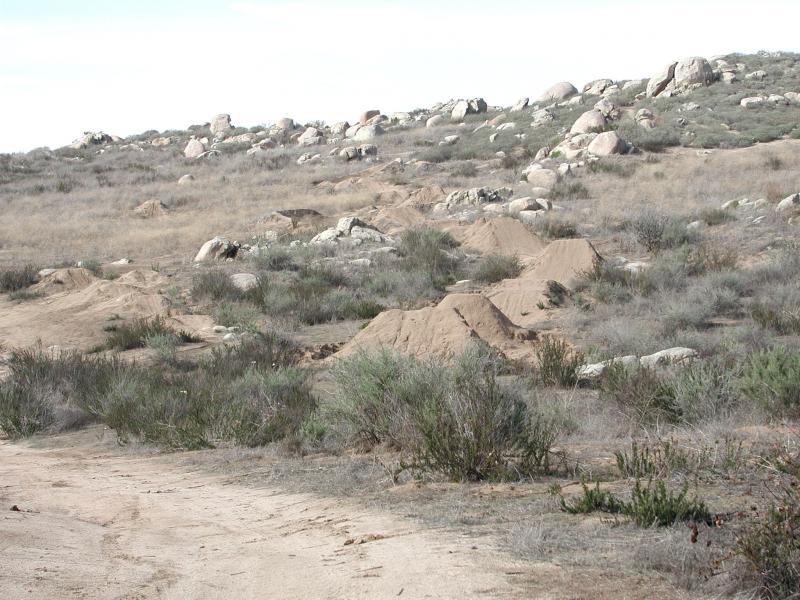A dirt trail with several small hills and jumps is set against a backdrop of rocky terrain and sparse vegetation. The landscape features dry grass and shrubs, with boulders scattered throughout the area. The sky is partly cloudy, contributing to the overall natural outdoor setting. Simpson Park mountain bike trail.