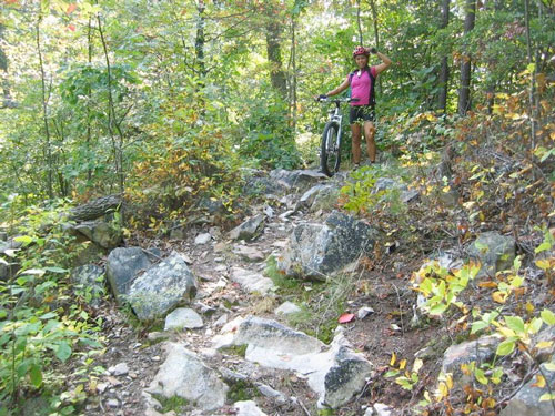 chilhowee1.jpg