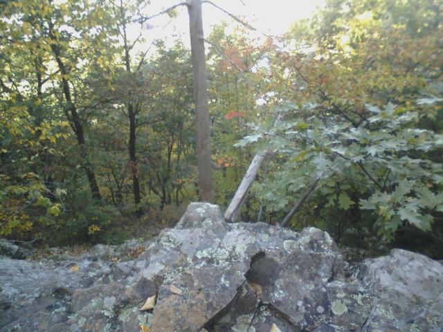 A rocky outcrop surrounded by lush trees displaying autumn foliage in shades of green, yellow, and red. The image captures a natural landscape with a focus on the rugged terrain and the diversity of the surrounding vegetation. Rocky Mountain And Highland Park mountain bike trail.