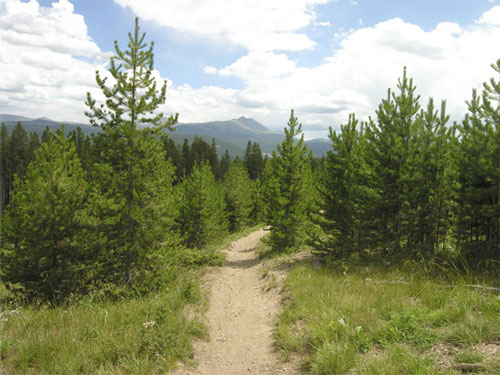 A dirt path winding through a lush forest of evergreen trees, with rolling hills and a cloudy blue sky in the background.