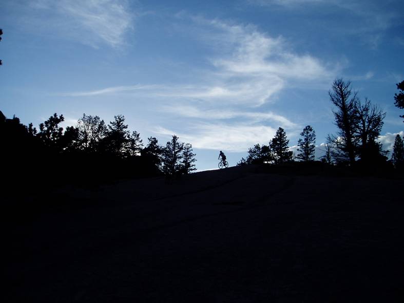 A silhouette of a person riding a bicycle on a hill against a backdrop of a dusk sky filled with soft clouds and tree outlines.