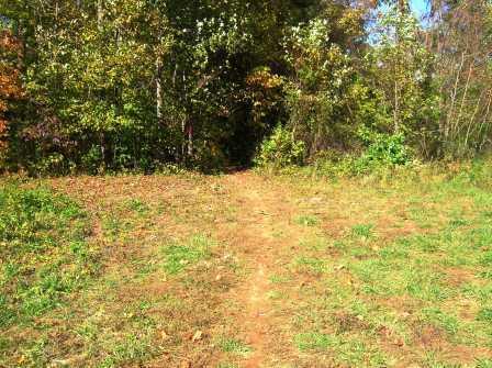A dirt path leading into a wooded area, surrounded by green grass and trees with autumn foliage, under a clear blue sky. Rappahanock River Trail mountain bike trail.