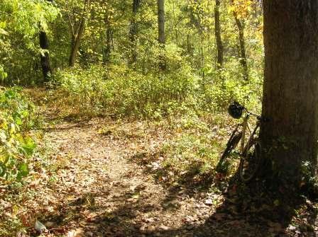 A serene forest path covered in fallen leaves, with a bicycle leaning against a tree. Sunlight filters through the trees, creating a warm, inviting atmosphere. Rappahanock River Trail mountain bike trail.