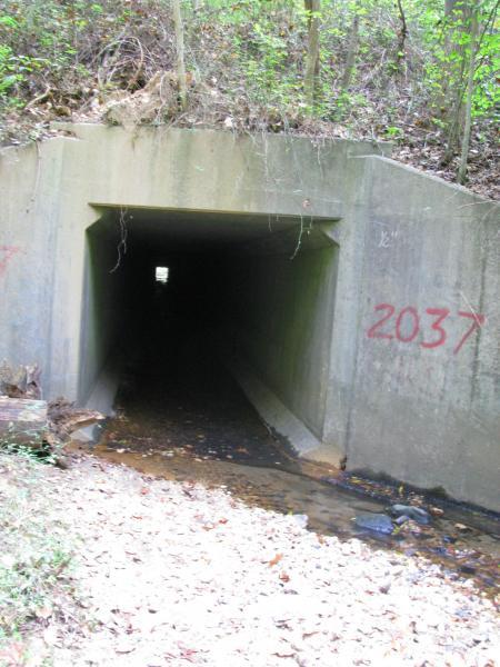 A large concrete tunnel opening surrounded by greenery, with a small stream of water flowing in front. The tunnel appears dark and deep, with the numbers "2037" spray-painted in red on the side. Leaves and small rocks are scattered on the ground near the entrance. Rappahanock River Trail mountain bike trail.
