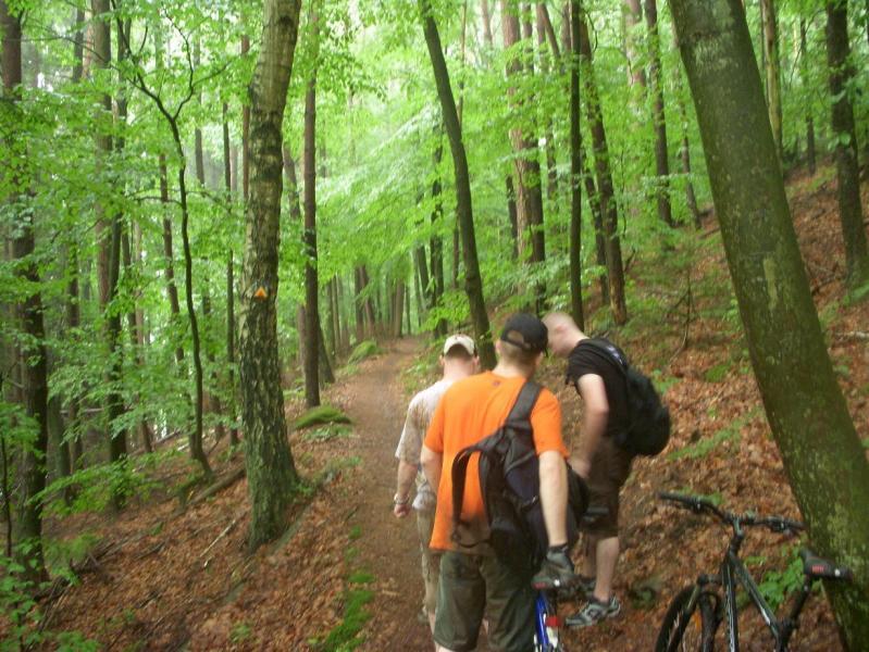 Three people walking along a narrow trail in a lush green forest, surrounded by tall trees. One person is wearing an orange shirt and carries a backpack. The others are looking at something on the ground. A bicycle is parked nearby on the trail. The scene is damp with greenery plentiful, suggesting a refreshing outdoor adventure. Stempleberg mountain bike trail.