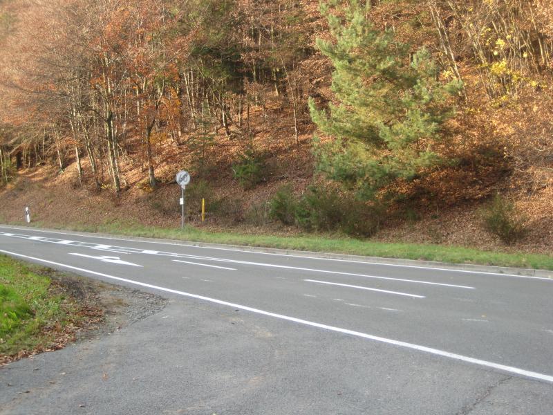 A quiet rural road with a speed limit sign at the edge, bordered by trees in autumn foliage. The asphalt is well-maintained, and the ground is covered with fallen leaves and grass on either side of the road. Schopp Trail #3 mountain bike trail.
