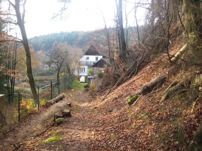 A dirt path leading through a wooded area with fallen leaves, lined by trees. In the background, a white house with a dark roof is partially visible, surrounded by nature and a fence. The scene reflects an autumn atmosphere with muted sunlight filtering through the trees. Schopp Trail #3 mountain bike trail.