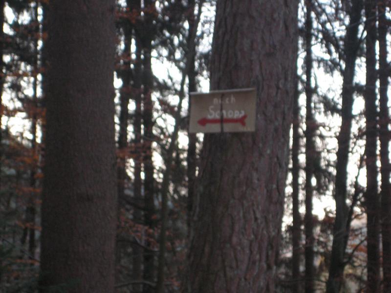 A wooden sign indicating directions to "Schopp," mounted on a tree in a forest setting, with tall trees and a dimly lit background. Schopp Trail #3 mountain bike trail.