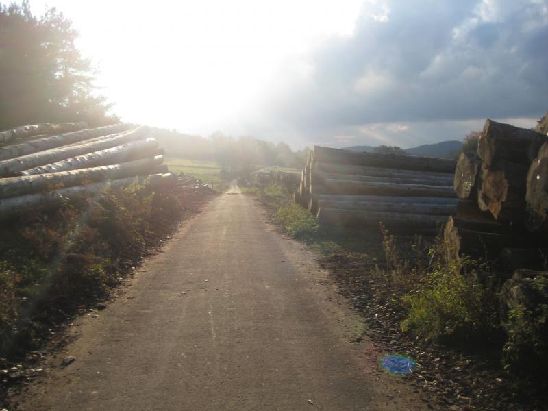 A sunlit pathway through a logging area, flanked by stacks of cut logs. The road is dirt and appears well-trodden, with greenery along the sides. In the background, gentle hills are visible under partly cloudy skies. Schopp Trail #3 mountain bike trail.