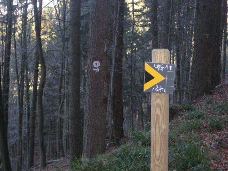 **Alt text:** A wooden trail marker stands in a forest, indicating a bike trail with a yellow arrow pointing left. In the background, tall trees and a white trail marker can be seen. Johanniskreuz Trail 9 mountain bike trail.