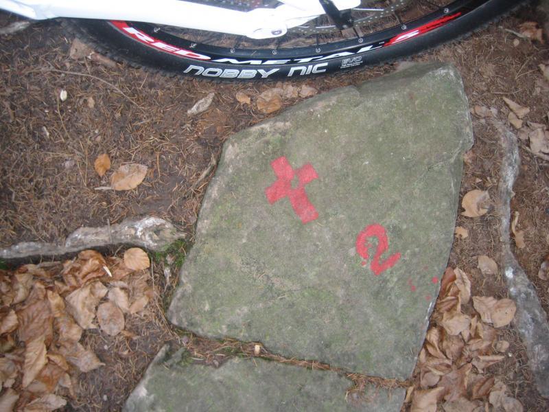 A close-up view of a large rock on a forest floor with fallen leaves, featuring red markings that include a large red cross and the characters "Q2." A bicycle tire is partially visible in the upper section of the image, indicating that the location may be a bike trail. Johanniskreuz Trail 9 mountain bike trail.