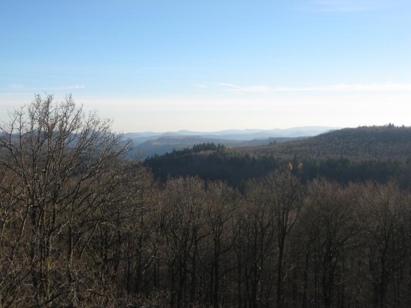 A panoramic view of a mountainous landscape under a clear blue sky, with bare trees in the foreground and distant hills extending into the horizon. The scene captures the tranquility of nature in a serene setting. Johanniskreuz Trail 9 mountain bike trail.