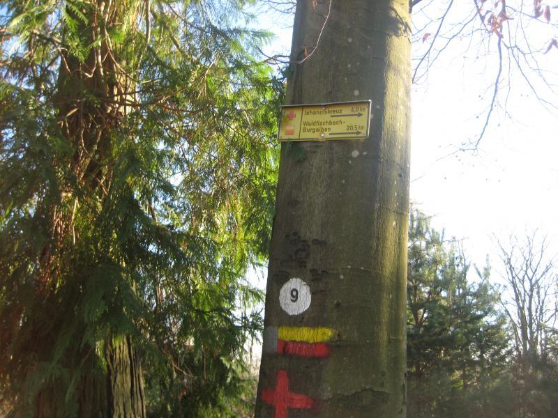 A vertical tree trunk with a metal sign indicating distances to "Johanniterhaus" (4.0 km) and "Waldhüttenbach" (20.5 km), along with colorful marking paint in red, yellow, and white at the base. Surrounding foliage includes tall green coniferous trees, indicating a wooded area. Johanniskreuz Trail 9 mountain bike trail.