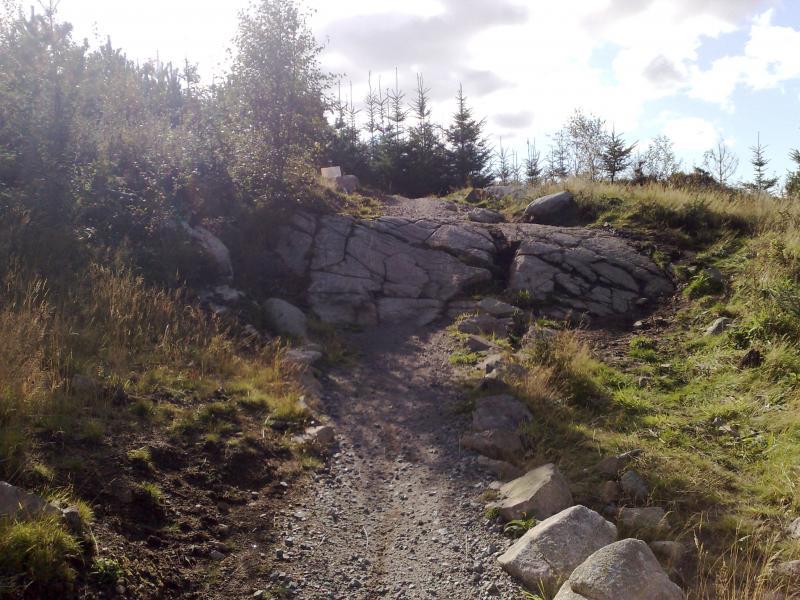 A rocky trail winding through a grassy area, flanked by trees on either side. Sunlight filters through the clouds, illuminating the path, which features a large, cracked rock formation. The scene conveys a serene outdoor environment perfect for hiking or walking. Dalbeattie mountain bike trail.