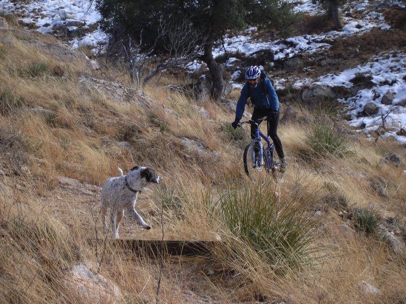 A person riding a mountain bike on a grassy slope, accompanied by a dog running alongside. The scene captures a natural outdoor setting with scattered rocks and patches of snow in the background. The biker is wearing a helmet and a blue jacket, while the dog appears to be a gray and white breed. Arizona Trail: ATV / Tucson mountain bike trail.