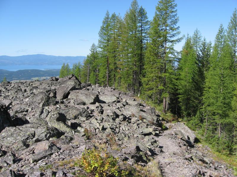 Rocky terrain covered with boulders and scattered vegetation, surrounded by tall coniferous trees against a backdrop of a clear blue sky and distant mountains. Wolf Creek Trail/Echo Broken Leg #544 mountain bike trail.