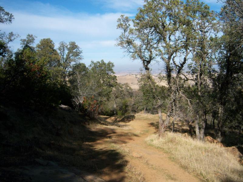 A dirt hiking trail winding through a tree-lined landscape, with hills visible in the distance under a partly cloudy sky. Round Valley to Morgan Territory mountain bike trail.