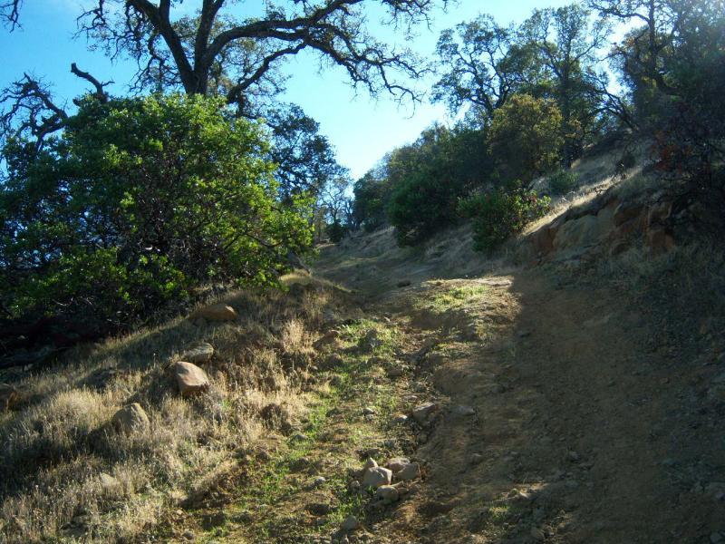 A dirt path winding through a hilly landscape, surrounded by trees and patches of grass. Sunlight filters through the leaves, casting soft shadows on the trail. The terrain features rocky outcrops and sparse vegetation typical of a natural setting. Round Valley to Morgan Territory mountain bike trail.