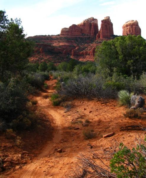 A winding dirt trail leads through desert vegetation, featuring shrubs and low grasses, with striking red rock formations in the background under a clear blue sky. Templeton mountain bike trail.