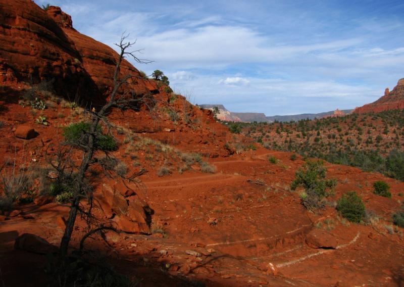A scenic view of red rock formations and a rugged landscape, featuring sparse vegetation and a clear blue sky with scattered clouds. The foreground includes a sloping path along the earthy terrain, with dry shrubs and a twisted tree, while the background showcases distant mesas and canyon walls. Templeton mountain bike trail.